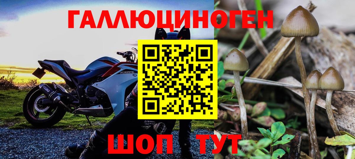 Галлюциногенные грибы GOLDEN TEACHER  Псилоцибиновые грибы GOLDEN TEACHER  Советский  Вход с VPN 